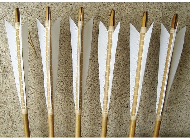 Apple iPad 2 Wi-Fi/3G 16GB test massupdater 