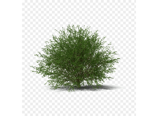 Albir turjakke Med lufting under armene 